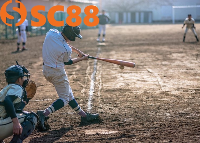 Cá Cược Bóng Chày