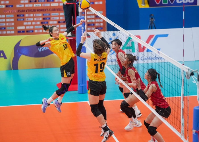 Cá cược bóng chuyền