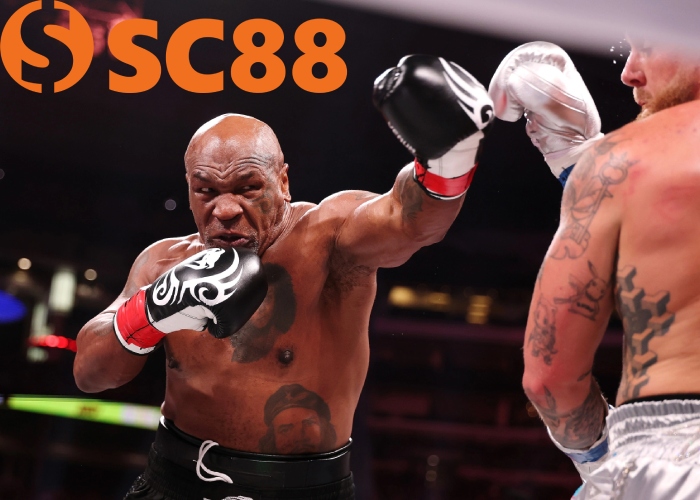 Cá Cược Quyền Anh